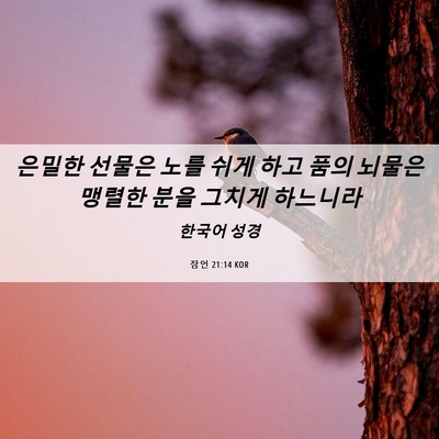 Picture 06 - 잠언 21:14 KOR - 은밀한 선물은 노를 쉬게 하고 품의 - Bible Verse Picture