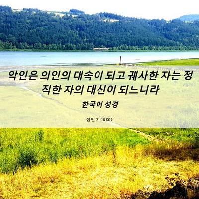 Picture 06 - 잠언 21:18 KOR - 악인은 의인의 대속이 되고 궤사한 - Bible Verse Picture