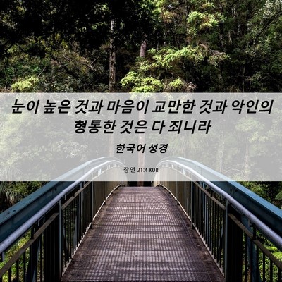 Picture 06 - 잠언 21:4 KOR - 눈이 높은 것과 마음이 교만한 것과 - Bible Verse Picture