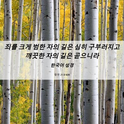 Picture 06 - 잠언 21:8 KOR - 죄를 크게 범한 자의 길은 심히 - Bible Verse Picture