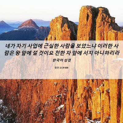 Picture 06 - 잠언 22:29 KOR - 네가 자기 사업에 근실한 사람을 - Bible Verse Picture
