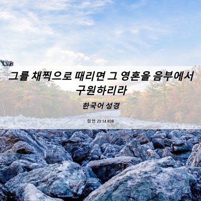 Picture 06 - 잠언 23:14 KOR - 그를 채찍으로 때리면 그 영혼을 - Bible Verse Picture