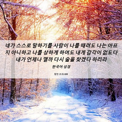 Picture 06 - 잠언 23:35 KOR - 네가 스스로 말하기를 사람이 나를 - Bible Verse Picture