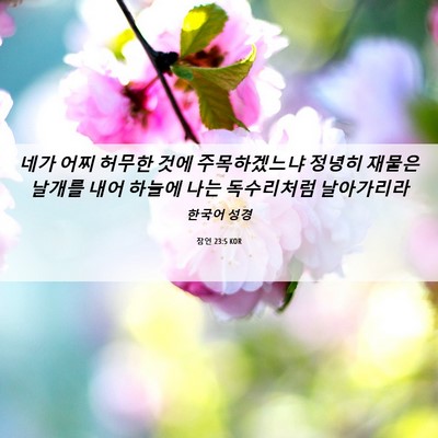Picture 06 - 잠언 23:5 KOR - 네가 어찌 허무한 것에 주목하겠느냐 - Bible Verse Picture