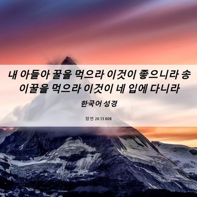 Picture 06 - 잠언 24:13 KOR - 내 아들아 꿀을 먹으라 이것이 - Bible Verse Picture