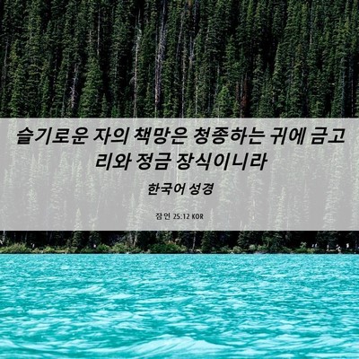 Picture 06 - 잠언 25:12 KOR - 슬기로운 자의 책망은 청종하는 귀에 - Bible Verse Picture