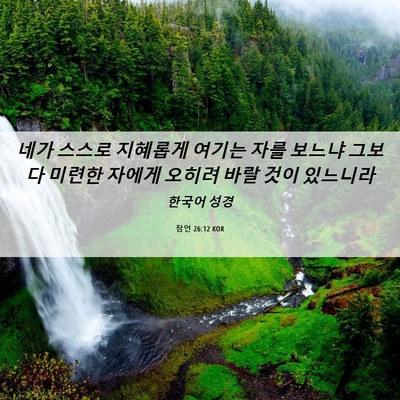 Picture 06 - 잠언 26:12 KOR - 네가 스스로 지혜롭게 여기는 자를 - Bible Verse Picture