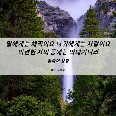 Picture 06 - 잠언 26:3 KOR - 말에게는 채찍이요 나귀에게는 - Bible Verse Picture