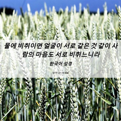 Picture 06 - 잠언 27:19 KOR - 물에 비취이면 얼굴이 서로 같은 것 - Bible Verse Picture