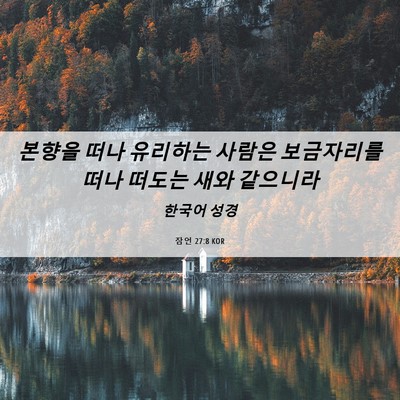 Picture 06 - 잠언 27:8 KOR - 본향을 떠나 유리하는 사람은 - Bible Verse Picture