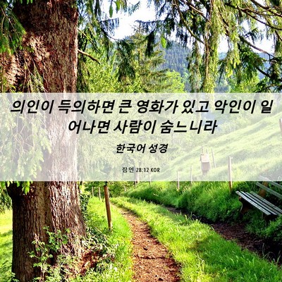 Picture 06 - 잠언 28:12 KOR - 의인이 득의하면 큰 영화가 있고 - Bible Verse Picture