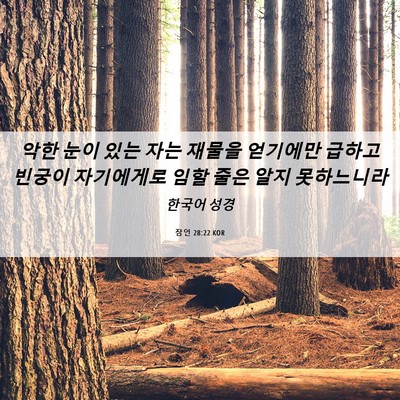 Picture 06 - 잠언 28:22 KOR - 악한 눈이 있는 자는 재물을 - Bible Verse Picture