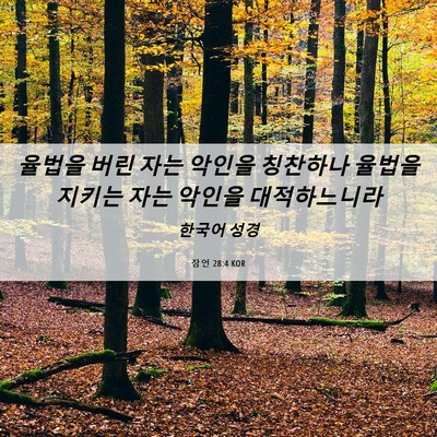 Picture 06 - 잠언 28:4 KOR - 율법을 버린 자는 악인을 칭찬하나 - Bible Verse Picture