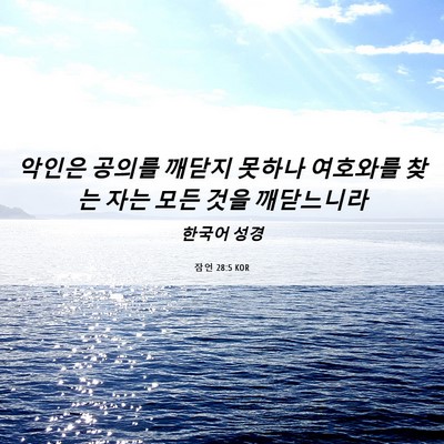 Picture 06 - 잠언 28:5 KOR - 악인은 공의를 깨닫지 못하나 - Bible Verse Picture