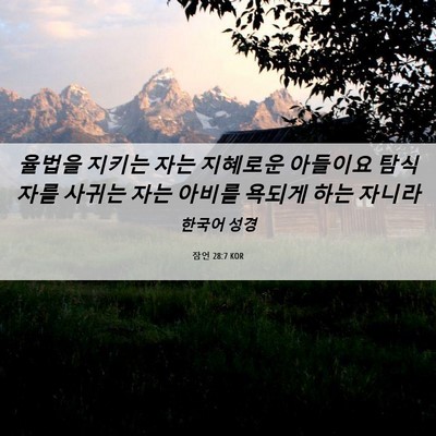 Picture 06 - 잠언 28:7 KOR - 율법을 지키는 자는 지혜로운 - Bible Verse Picture