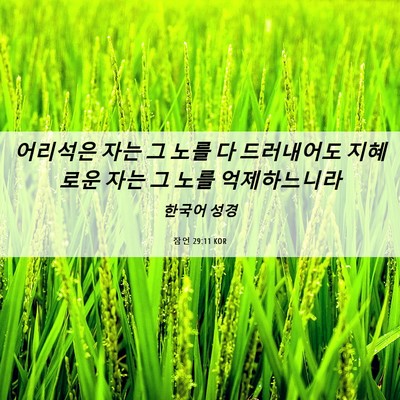 Picture 06 - 잠언 29:11 KOR - 어리석은 자는 그 노를 다 - Bible Verse Picture