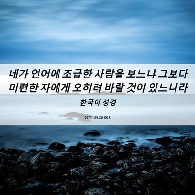 Picture 06 - 잠언 29:20 KOR - 네가 언어에 조급한 사람을 보느냐 - Bible Verse Picture
