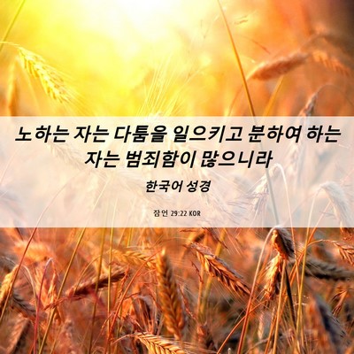 Picture 06 - 잠언 29:22 KOR - 노하는 자는 다툼을 일으키고 분하여 - Bible Verse Picture