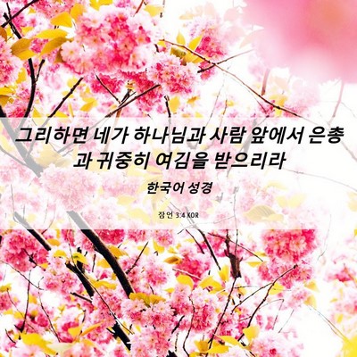 Picture 06 - 잠언 3:4 KOR - 그리하면 네가 하나님과 사람 앞에서 - Bible Verse Picture