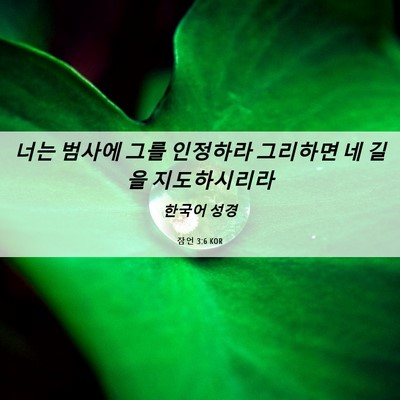 Picture 06 - 잠언 3:6 KOR - 너는 범사에 그를 인정하라 그리하면 - Bible Verse Picture
