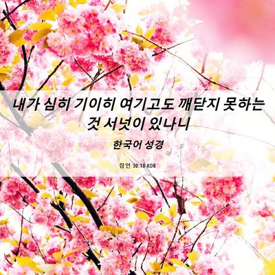 Picture 06 - 잠언 30:18 KOR - 내가 심히 기이히 여기고도 깨닫지 - Bible Verse Picture