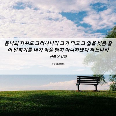 Picture 06 - 잠언 30:20 KOR - 음녀의 자취도 그러하니라 그가 먹고 - Bible Verse Picture