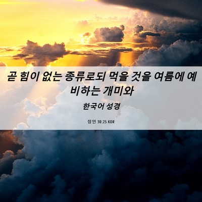 Picture 06 - 잠언 30:25 KOR - 곧 힘이 없는 종류로되 먹을 것을 - Bible Verse Picture