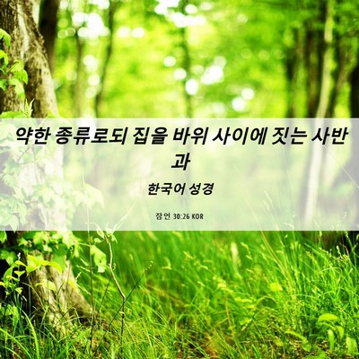 Picture 06 - 잠언 30:26 KOR - 약한 종류로되 집을 바위 사이에 - Bible Verse Picture