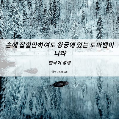 Picture 06 - 잠언 30:28 KOR - 손에 잡힐만하여도 왕궁에 있는 - Bible Verse Picture