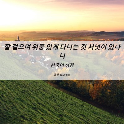 Picture 06 - 잠언 30:29 KOR - 잘 걸으며 위풍 있게 다니는 것 - Bible Verse Picture