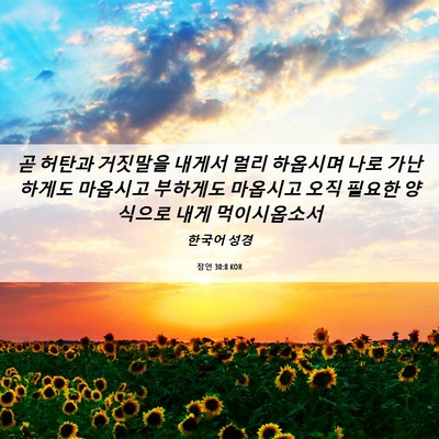 Picture 06 - 잠언 30:8 KOR - 곧 허탄과 거짓말을 내게서 멀리 - Bible Verse Picture