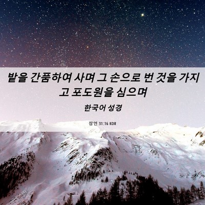 Picture 06 - 잠언 31:16 KOR - 밭을 간품하여 사며 그 손으로 번 - Bible Verse Picture
