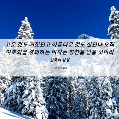 Picture 06 - 잠언 31:30 KOR - 고운 것도 거짓되고 아름다운 것도 - Bible Verse Picture