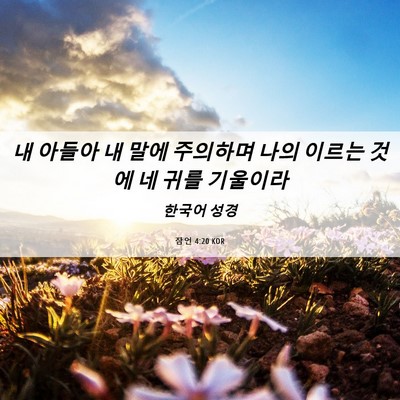Picture 06 - 잠언 4:20 KOR - 내 아들아 내 말에 주의하며 나의 - Bible Verse Picture
