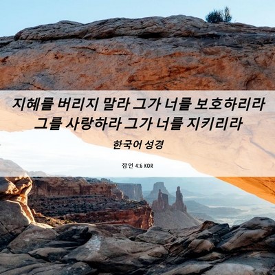 Picture 06 - 잠언 4:6 KOR - 지혜를 버리지 말라 그가 너를 - Bible Verse Picture