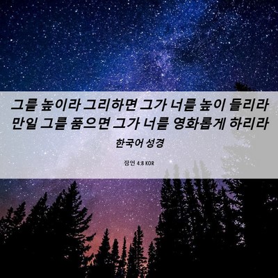 Picture 06 - 잠언 4:8 KOR - 그를 높이라 그리하면 그가 너를 - Bible Verse Picture