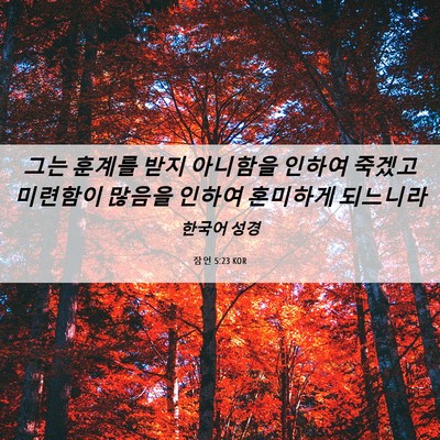 Picture 06 - 잠언 5:23 KOR - 그는 훈계를 받지 아니함을 인하여 - Bible Verse Picture