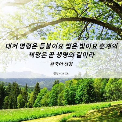 Picture 06 - 잠언 6:23 KOR - 대저 명령은 등불이요 법은 빛이요 - Bible Verse Picture
