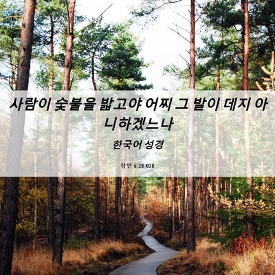 Picture 06 - 잠언 6:28 KOR - 사람이 숯불을 밟고야 어찌 그 발이 - Bible Verse Picture