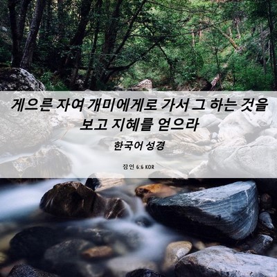 Picture 06 - 잠언 6:6 KOR - 게으른 자여 개미에게로 가서 그 - Bible Verse Picture