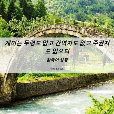 Picture 06 - 잠언 6:7 KOR - 개미는 두령도 없고 간역자도 없고 - Bible Verse Picture