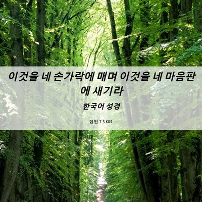 Picture 06 - 잠언 7:3 KOR - 이것을 네 손가락에 매며 이것을 네 - Bible Verse Picture