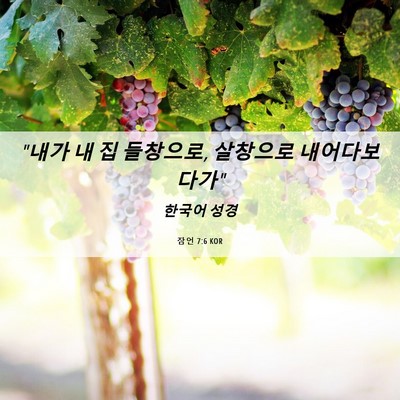 Picture 06 - 잠언 7:6 KOR - 