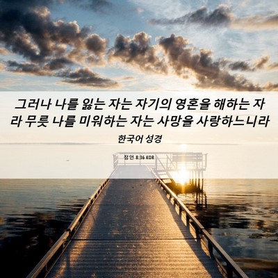 Picture 06 - 잠언 8:36 KOR - 그러나 나를 잃는 자는 자기의 - Bible Verse Picture