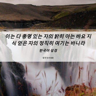 Picture 06 - 잠언 8:9 KOR - 이는 다 총명 있는 자의 밝히 아는 - Bible Verse Picture