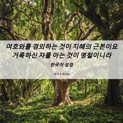 Picture 06 - 잠언 9:10 KOR - 여호와를 경외하는 것이 지혜의 - Bible Verse Picture