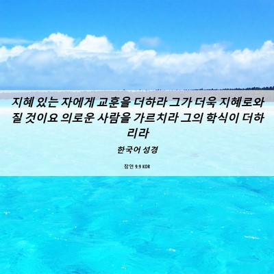 Picture 06 - 잠언 9:9 KOR - 지혜 있는 자에게 교훈을 더하라 - Bible Verse Picture