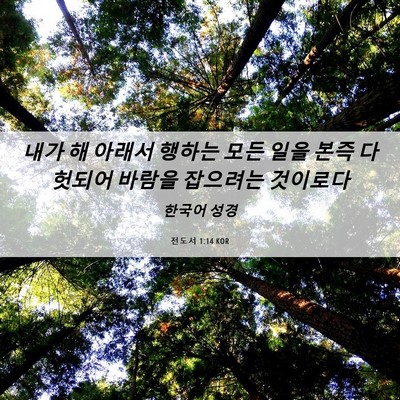 Picture 06 - 전도서 1:14 KOR - 내가 해 아래서 행하는 모든 일을 - Bible Verse Picture