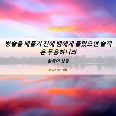 Picture 06 - 전도서 10:11 KOR - 방술을 베풀기 전에 뱀에게 물렸으면 - Bible Verse Picture
