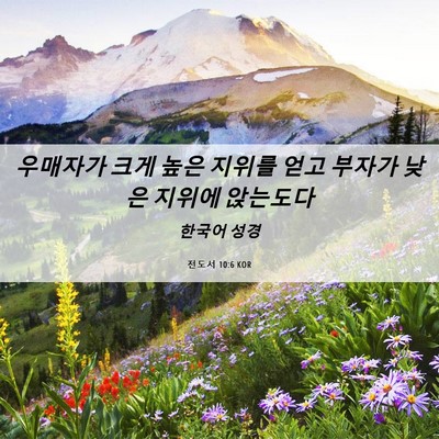Picture 06 - 전도서 10:6 KOR - 우매자가 크게 높은 지위를 얻고 - Bible Verse Picture